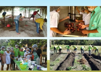 Escolas técnicas rurais transformam vidas no Piauí